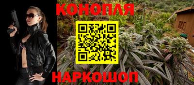шишки Новозыбков