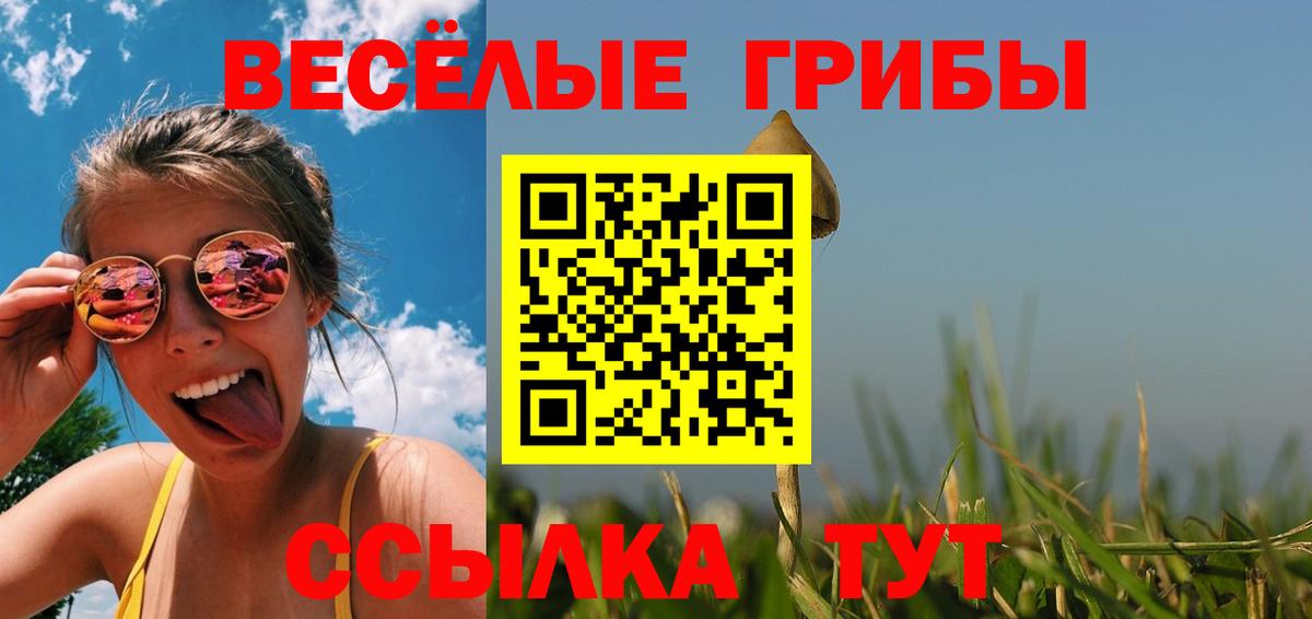 Галлюциногенные грибы Psilocybine cubensis Сарапул